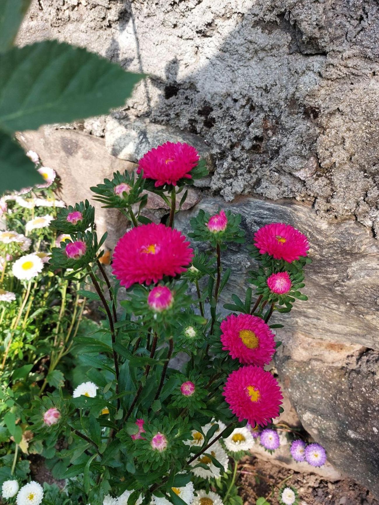 Planitzhof Castelrotto Exterior foto
